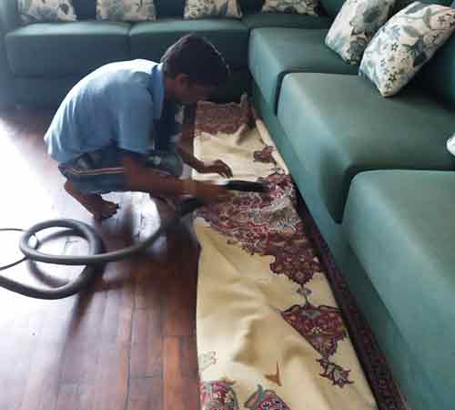 professional guy is cleaning sofa